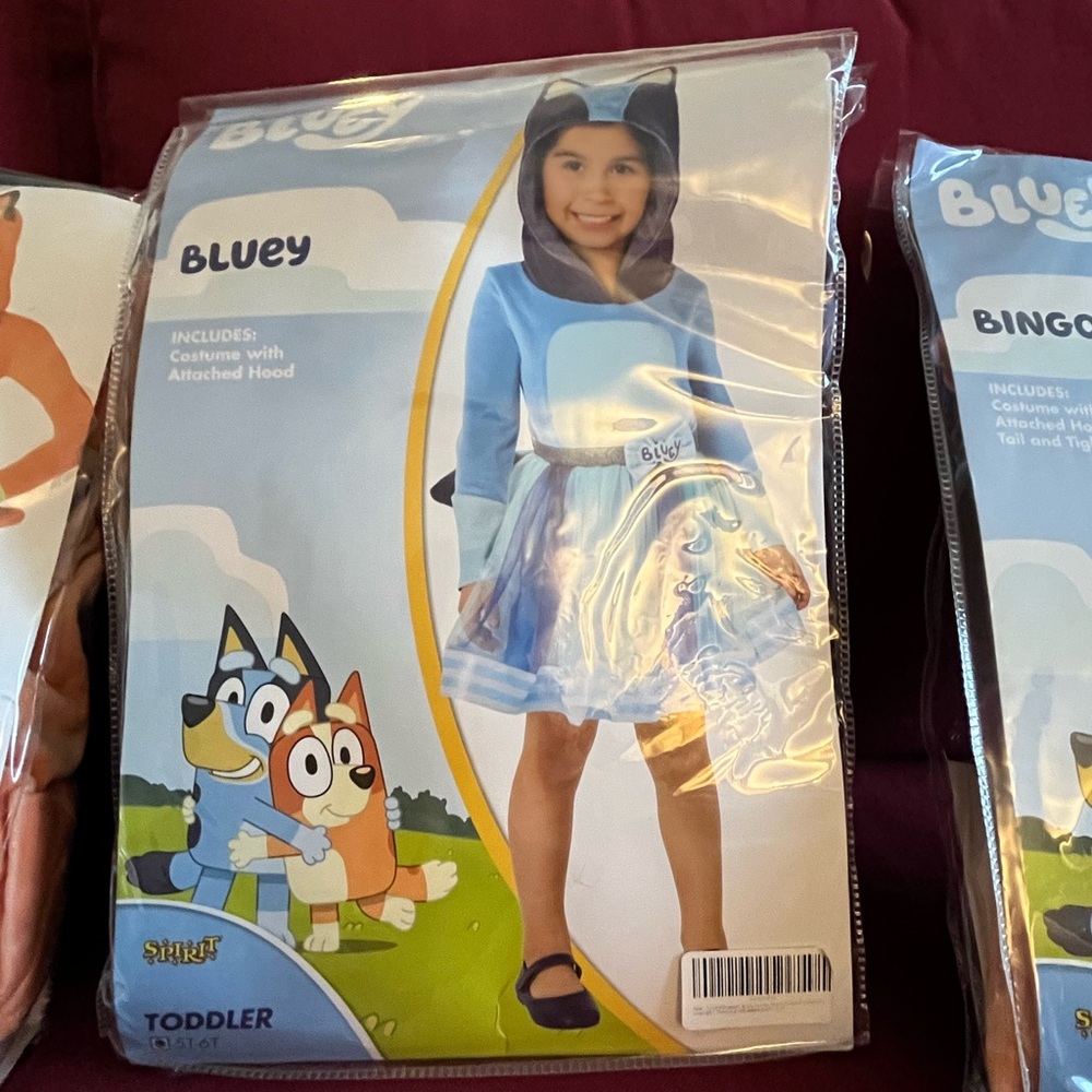 Bluey Child Costume Dress with Hood